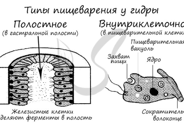 Kraken фейк сайт