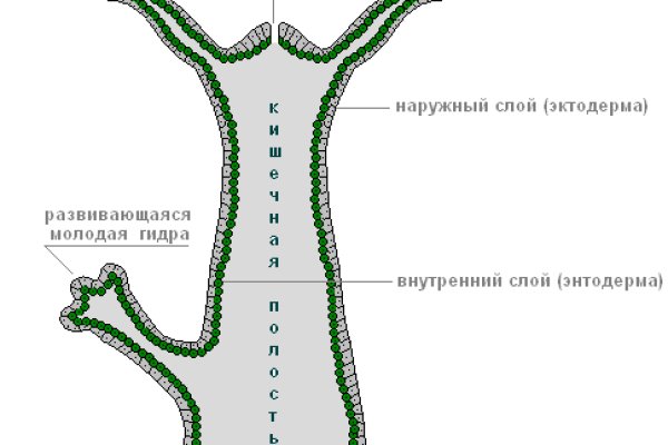 Кракен зеркало на сегодня