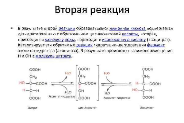 Как восстановить аккаунт кракен