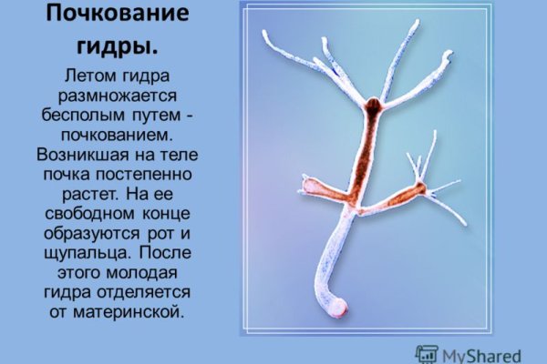 Кракен макет плейс